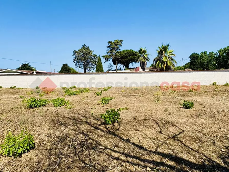 Immagine 29 di Terreno agricolo in vendita  in Via OASI DEL SISTO, 31 a Terracina