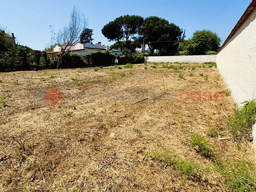 Immagine 22 di Terreno agricolo in vendita  in Via OASI DEL SISTO, 31 a Terracina
