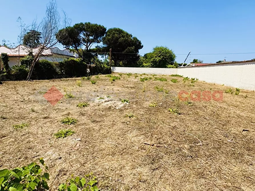 Immagine 20 di Terreno agricolo in vendita  in Via OASI DEL SISTO, 31 a Terracina