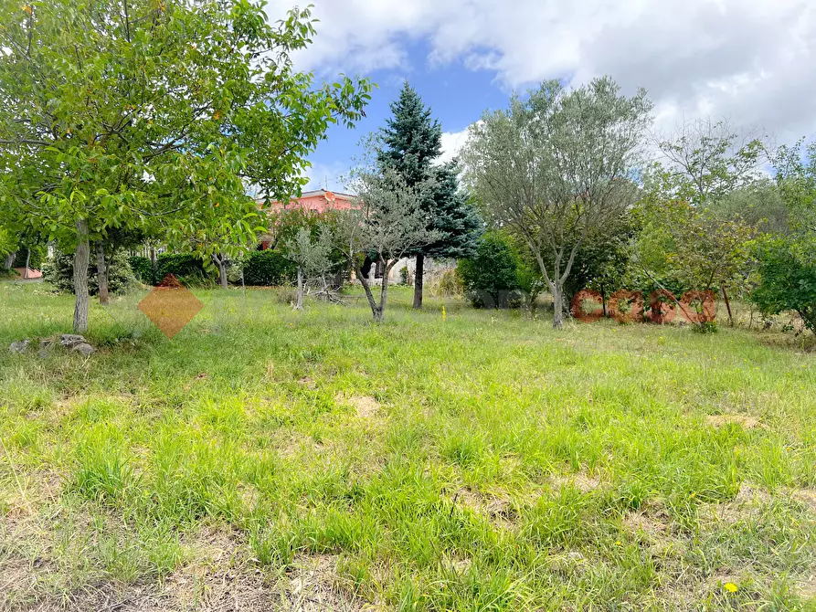 Immagine 11 di Casa bifamiliare in vendita  in Via CAPO LE RIPE, 18 a Fiuggi