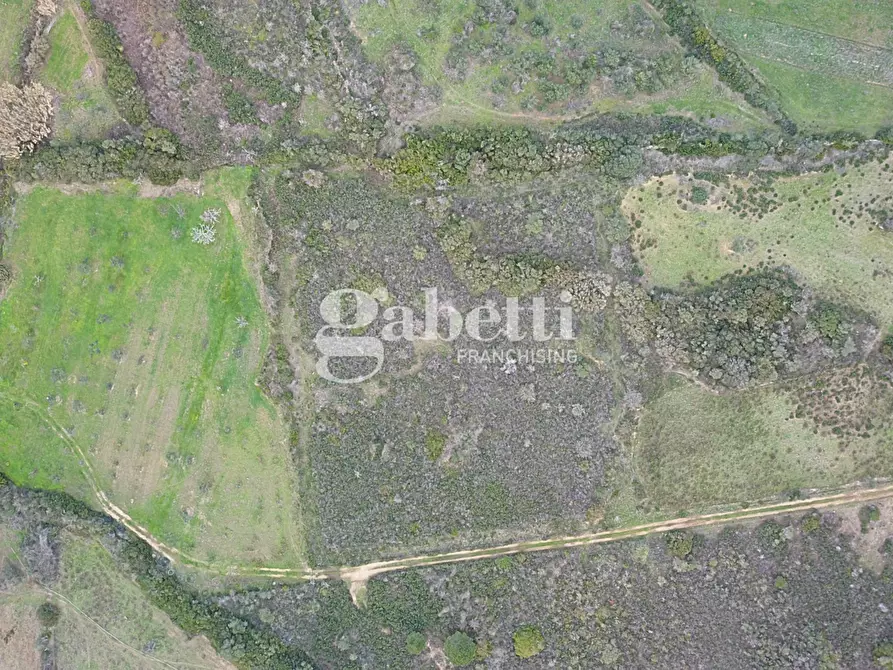 Immagine 6 di Terreno agricolo in vendita  in Via Baia Sant'Anna, snc a Budoni