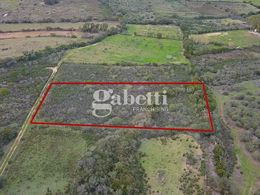 Immagine 5 di Terreno agricolo in vendita  in Via Baia Sant'Anna, snc a Budoni