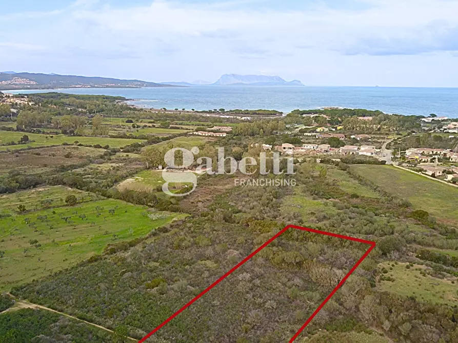 Immagine 1 di Terreno agricolo in vendita  in Via Baia Sant'Anna, snc a Budoni