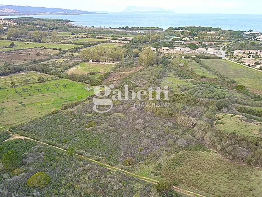 Immagine 2 di Terreno agricolo in vendita  in Via Baia Sant'Anna, snc a Budoni