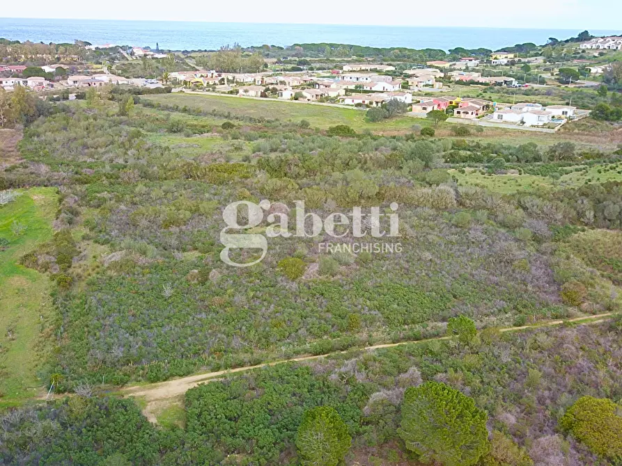 Immagine 7 di Terreno agricolo in vendita  in Via Baia Sant'Anna, snc a Budoni