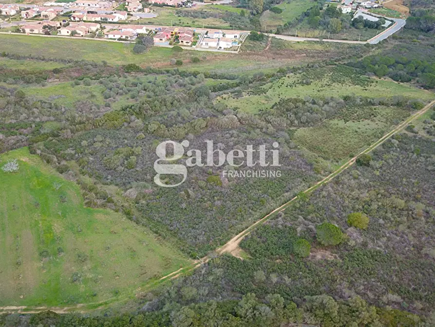 Immagine 8 di Terreno agricolo in vendita  in Via Baia Sant'Anna, snc a Budoni