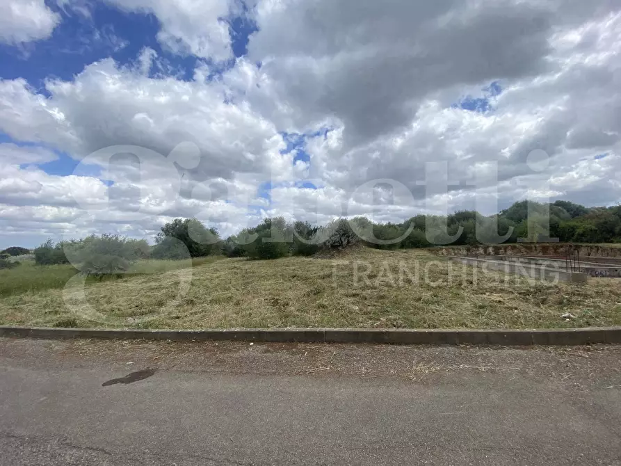 Immagine 2 di Terreno residenziale in vendita  in Via Santa Maria di Paulis, snc a Uri