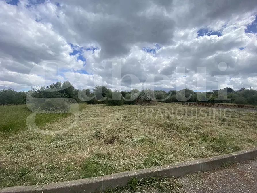 Immagine 3 di Terreno residenziale in vendita  in Via Santa Maria di Paulis, snc a Uri