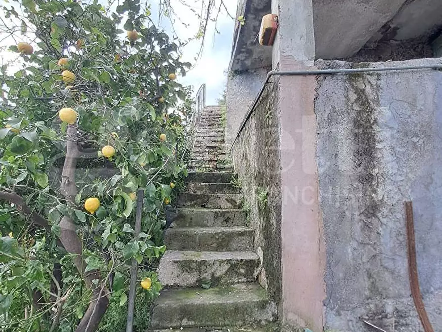 Immagine 5 di Casa indipendente in vendita  in Via Piedimonte a Mascali