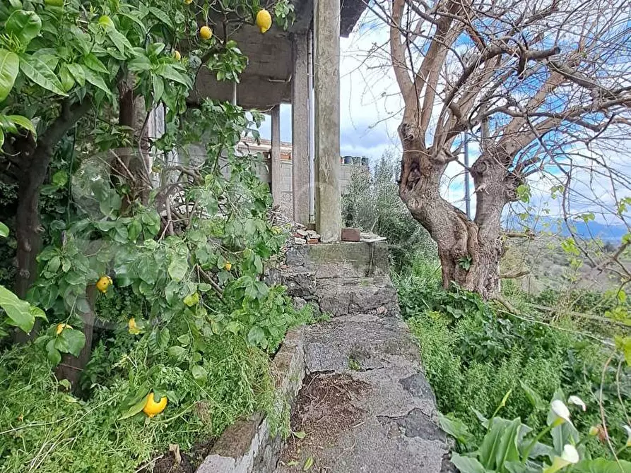 Immagine 4 di Casa indipendente in vendita  in Via Piedimonte a Mascali