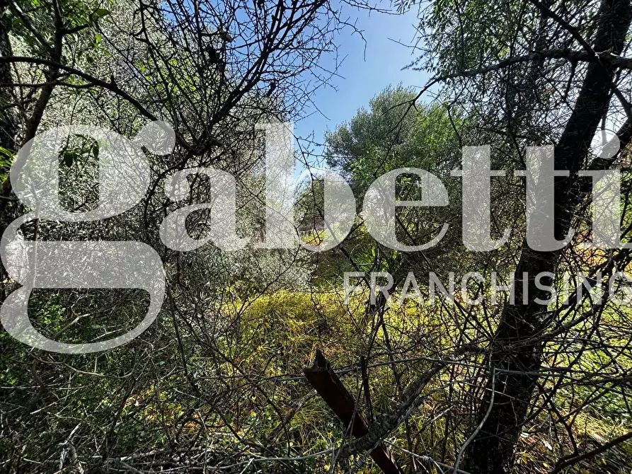 Immagine 6 di Terreno residenziale in vendita  in Via S.S 293, . a Nuxis