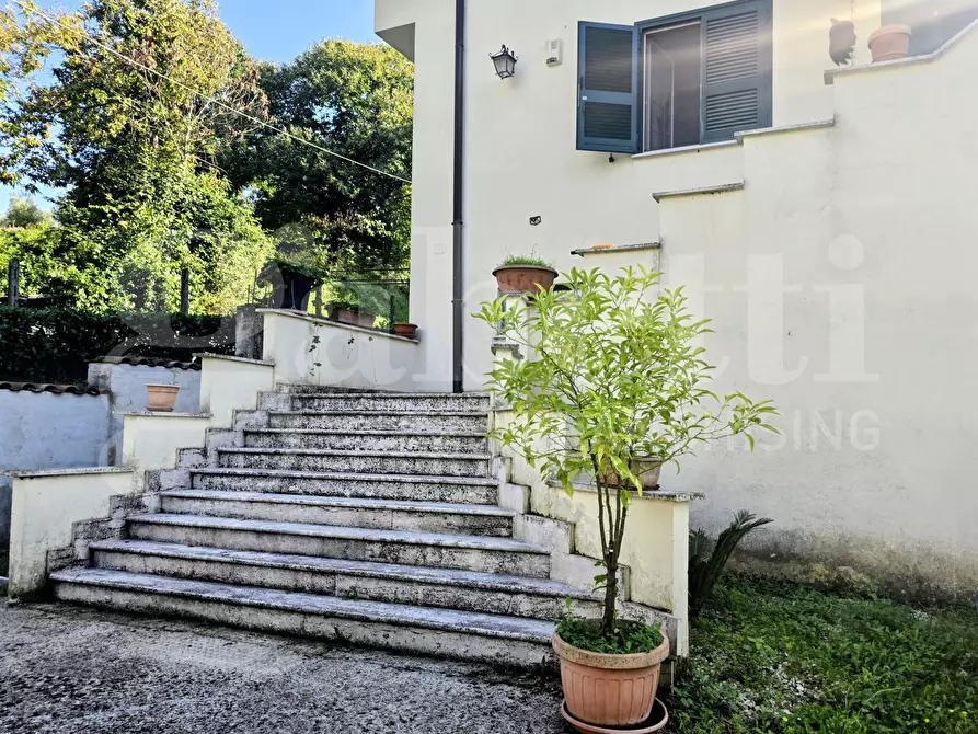 Immagine 6 di Villa in vendita  in Contrada Pontemassa, snc a Paliano