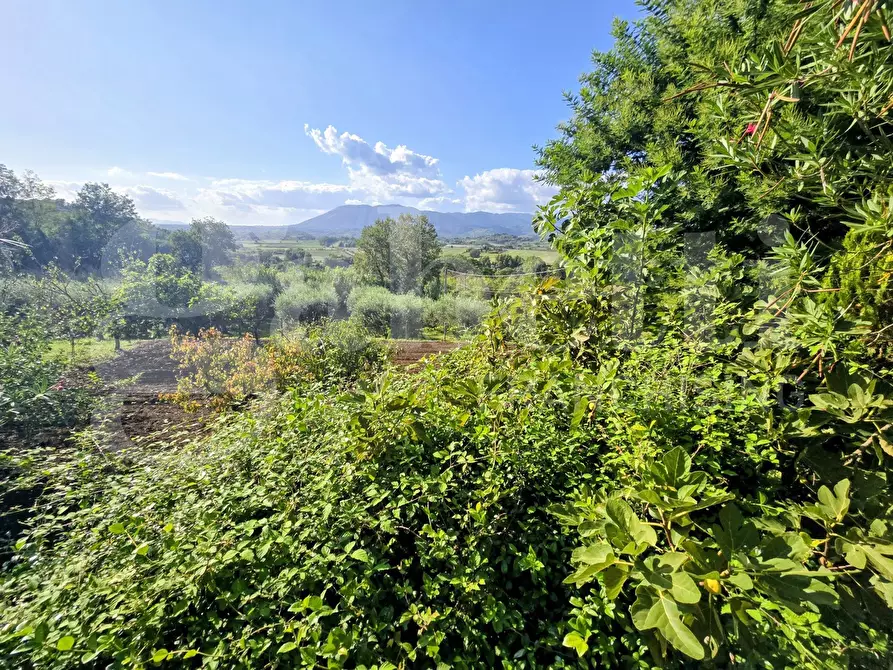 Immagine 12 di Villa in vendita  in Contrada Pontemassa, snc a Paliano