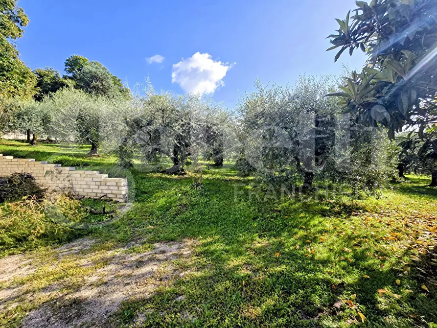 Immagine 5 di Villa in vendita  in Contrada Pontemassa, snc a Paliano