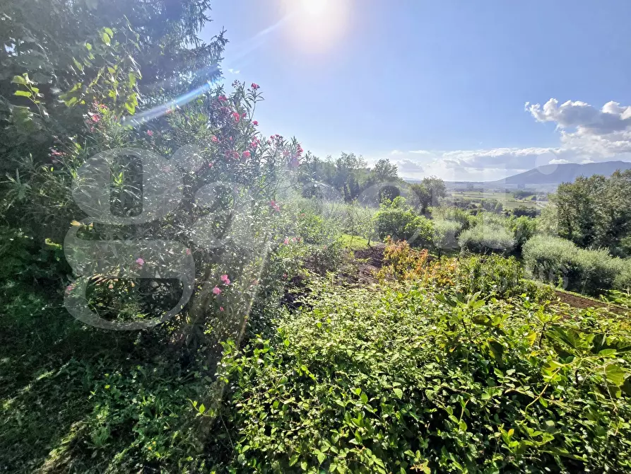 Immagine 13 di Villa in vendita  in Contrada Pontemassa, snc a Paliano