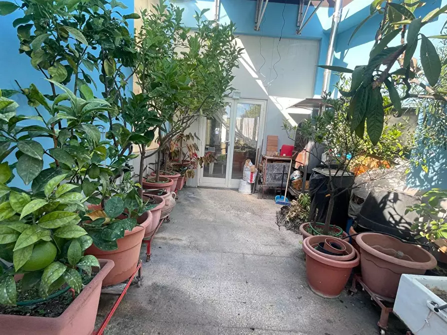 Immagine 28 di Appartamento in vendita  in Via Benedetto Croce,, 20 a Siracusa