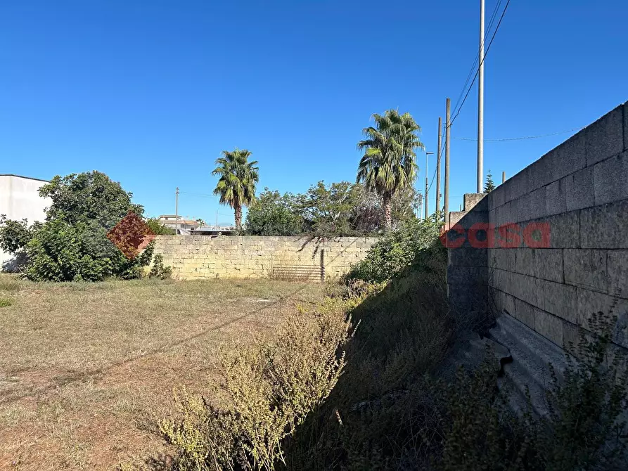 Immagine 2 di Terreno residenziale in vendita  in Via grassi a Montesano Salentino