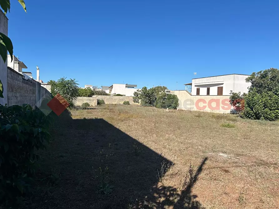 Immagine 3 di Terreno residenziale in vendita  in Via grassi a Montesano Salentino