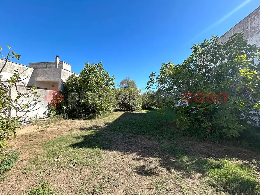 Immagine 3 di Terreno residenziale in vendita  in Via diso a Spongano