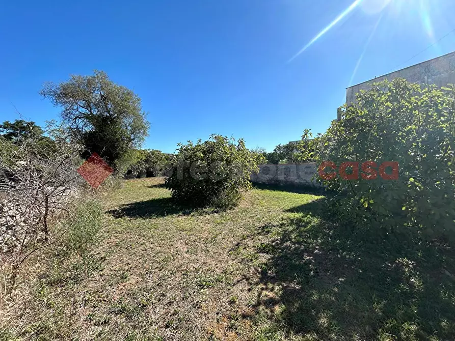 Immagine 6 di Terreno residenziale in vendita  in Via diso a Spongano