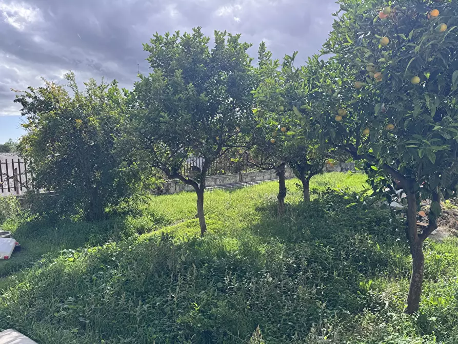 Immagine 9 di Villa in vendita  in Via MICHAEL, 12 a Statte