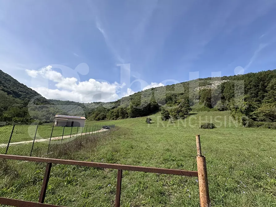 Immagine 13 di Terreno agricolo in vendita  in Via Carpinetana Ovest, snc a Segni