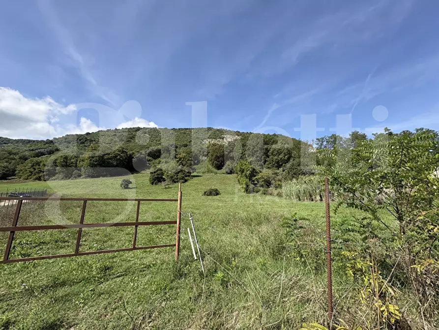 Immagine 10 di Terreno agricolo in vendita  in Via Carpinetana Ovest, snc a Segni