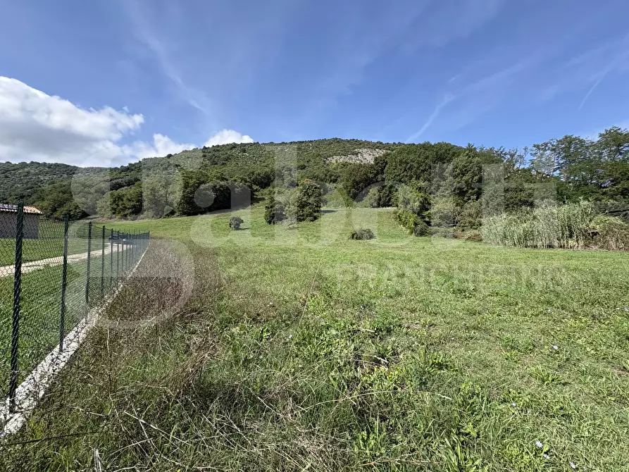 Immagine 6 di Terreno agricolo in vendita  in Via Carpinetana Ovest, snc a Segni