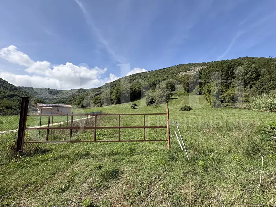 Immagine 9 di Terreno agricolo in vendita  in Via Carpinetana Ovest, snc a Segni