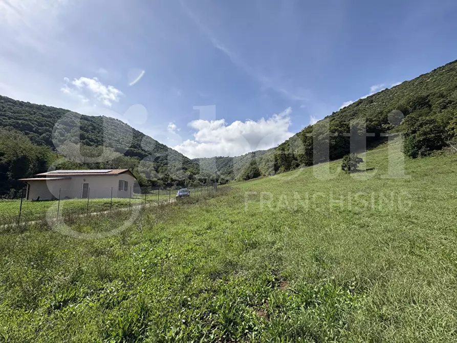 Immagine 19 di Terreno agricolo in vendita  in Via Carpinetana Ovest, snc a Segni