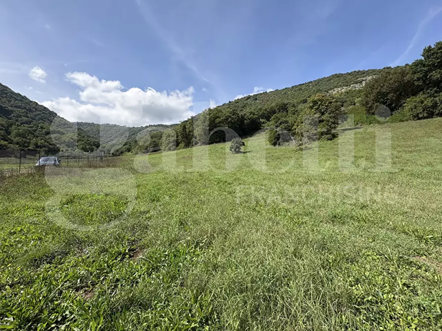 Immagine 3 di Terreno agricolo in vendita  in Via Carpinetana Ovest, snc a Segni