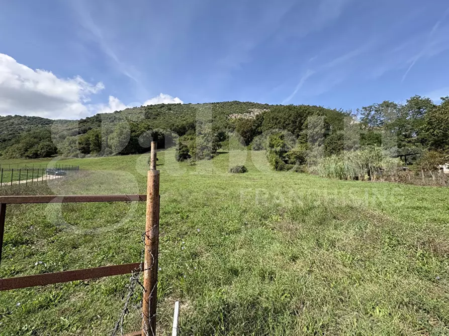 Immagine 11 di Terreno agricolo in vendita  in Via Carpinetana Ovest, snc a Segni