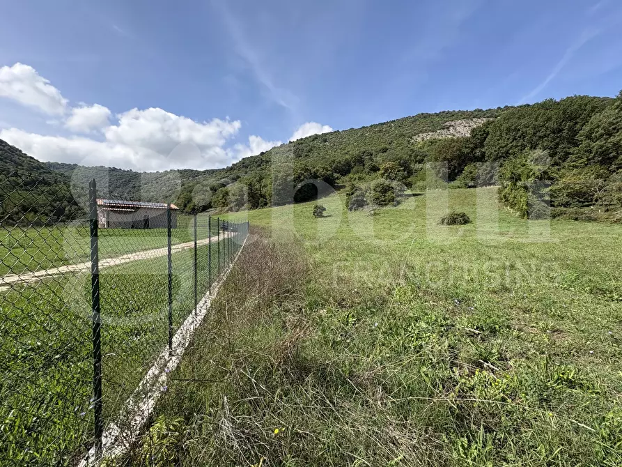Immagine 5 di Terreno agricolo in vendita  in Via Carpinetana Ovest, snc a Segni