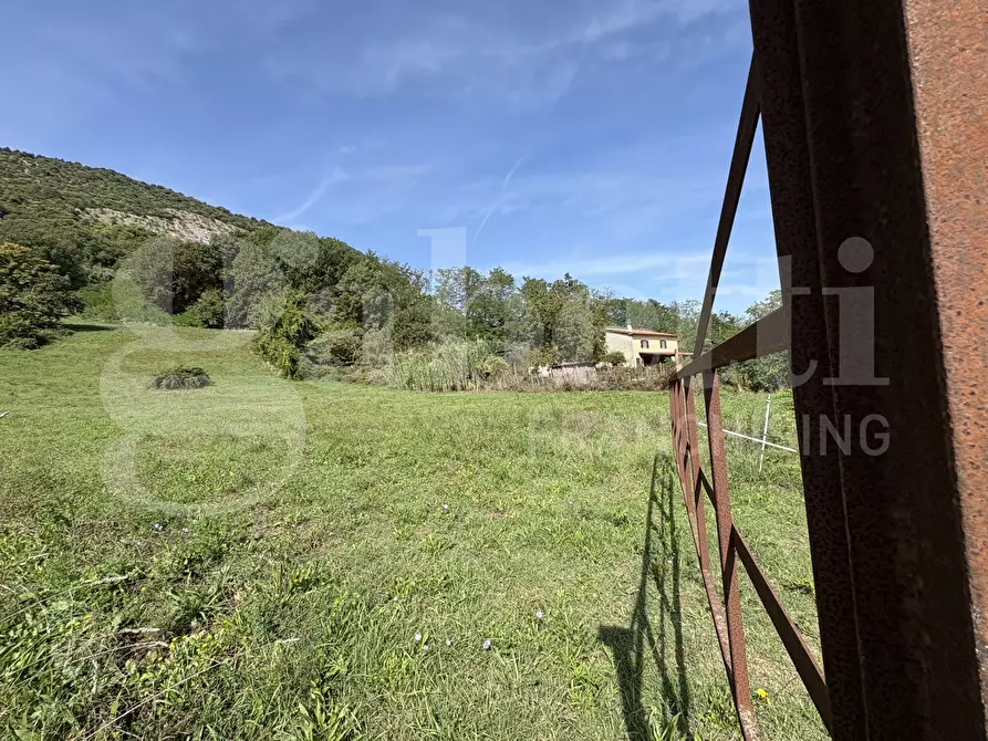 Immagine 8 di Terreno agricolo in vendita  in Via Carpinetana Ovest, snc a Segni