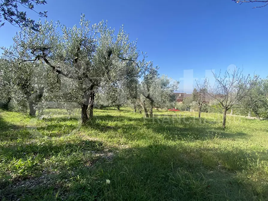 Immagine 5 di Terreno residenziale in vendita  in Via DELLE GINESTRE, 1 a Assisi