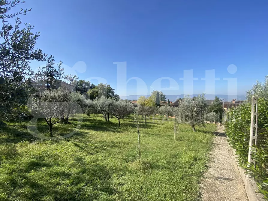 Immagine 2 di Terreno residenziale in vendita  in Via DELLE GINESTRE, 1 a Assisi