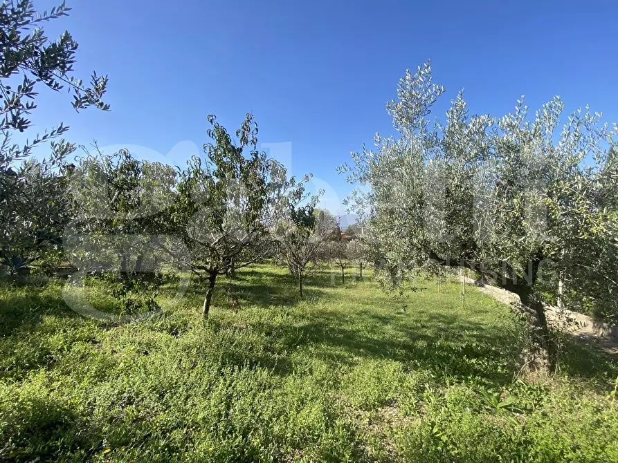 Immagine 3 di Terreno residenziale in vendita  in Via DELLE GINESTRE, 1 a Assisi