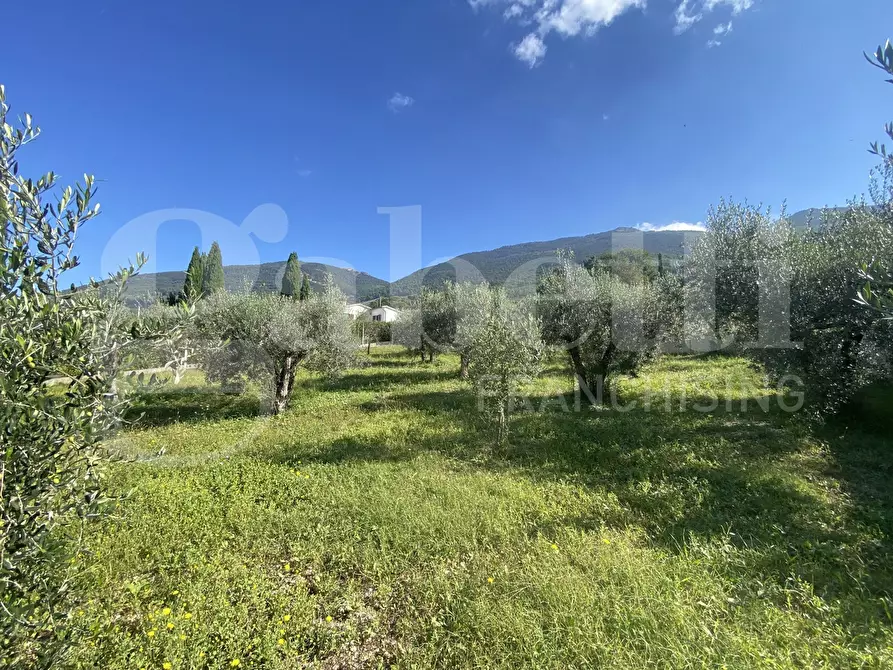 Immagine 7 di Terreno residenziale in vendita  in Via DELLE GINESTRE, 1 a Assisi