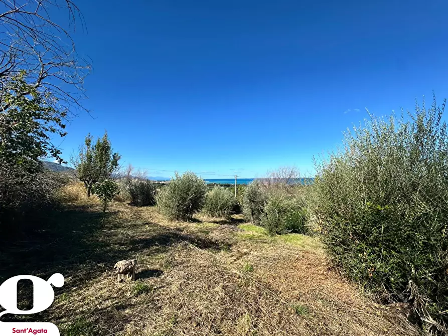 Immagine 13 di Casa indipendente in vendita  in Contrada APESANA, SNC a Sant'agata Di Militello