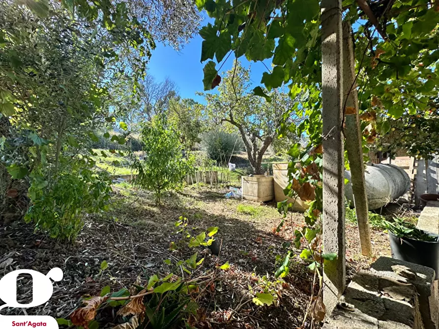 Immagine 14 di Casa indipendente in vendita  in Contrada APESANA, SNC a Sant'agata Di Militello