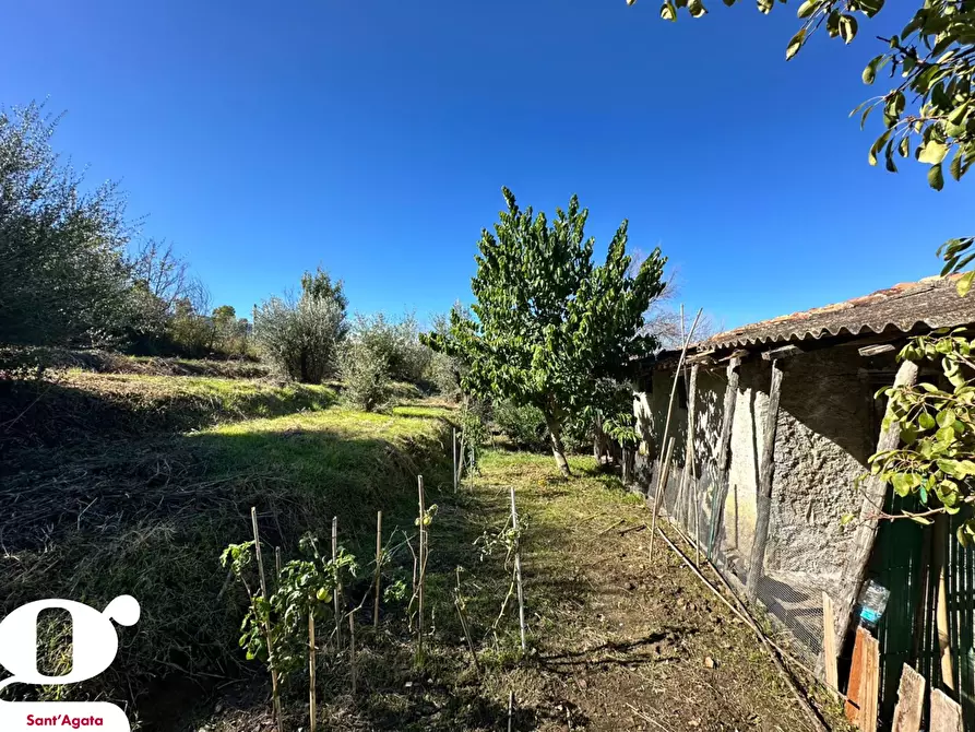 Immagine 22 di Casa indipendente in vendita  in Contrada APESANA, SNC a Sant'agata Di Militello