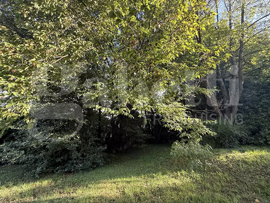 Immagine 29 di Appartamento in vendita  in Via Parini, snc a Erba