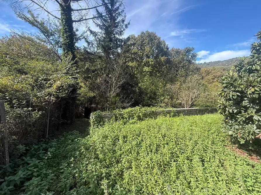 Immagine 2 di Terreno residenziale in vendita  in Via dei Mughetti, snc a San Polo Dei Cavalieri