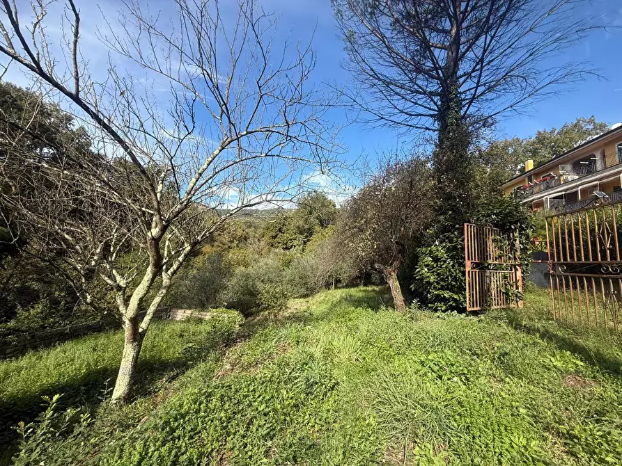 Immagine 4 di Terreno residenziale in vendita  in Via dei Mughetti, snc a San Polo Dei Cavalieri