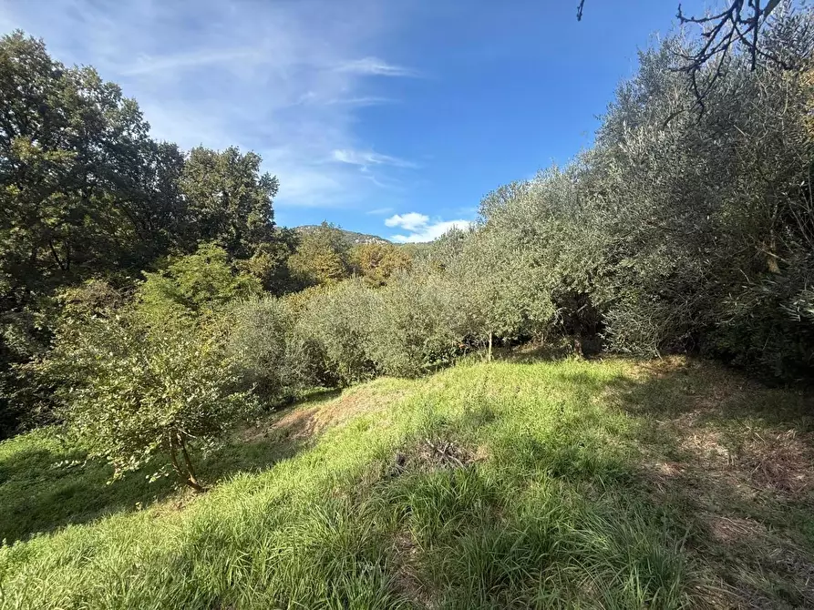 Immagine 9 di Terreno residenziale in vendita  in Via dei Mughetti, snc a San Polo Dei Cavalieri