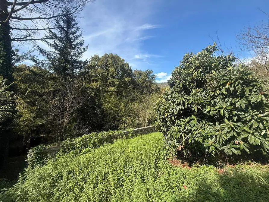 Immagine 3 di Terreno residenziale in vendita  in Via dei Mughetti, snc a San Polo Dei Cavalieri