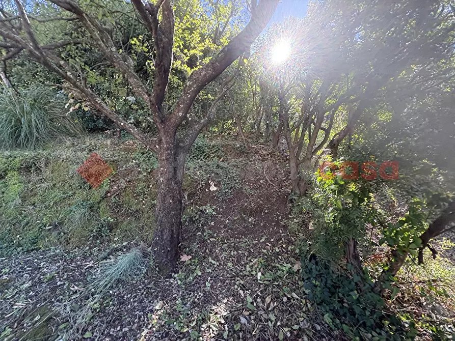 Immagine 3 di Casa indipendente in vendita  in Via LIMATELLA, 43 a Monte San Biagio