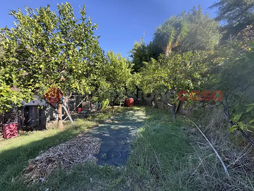 Immagine 4 di Casa indipendente in vendita  in Via LIMATELLA, 43 a Monte San Biagio