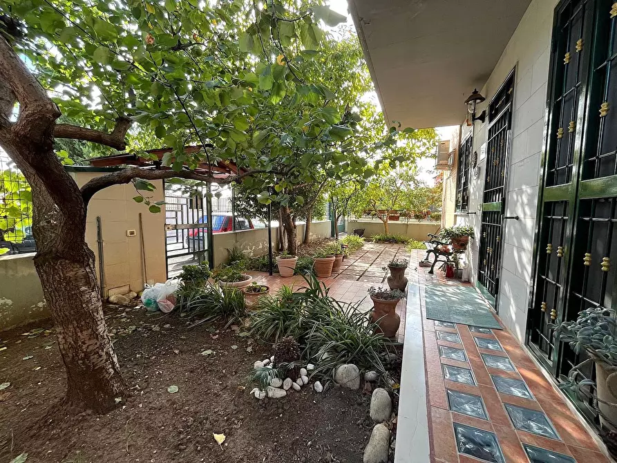 Immagine 1 di Casa indipendente in vendita  in Via SOTTILE a San Severo