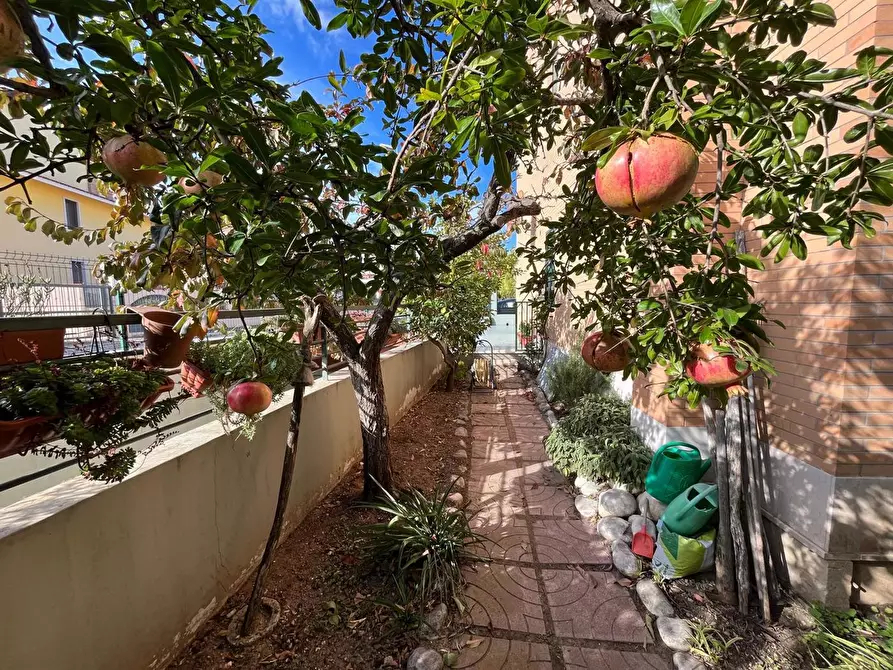 Immagine 2 di Casa indipendente in vendita  in Via SOTTILE a San Severo